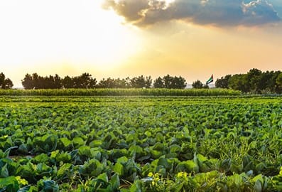 The best farms to visit