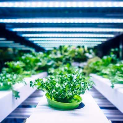 Food and agriculture