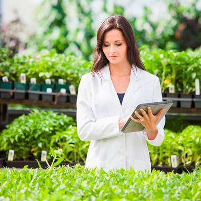 Food and agriculture