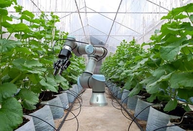 Food and agriculture