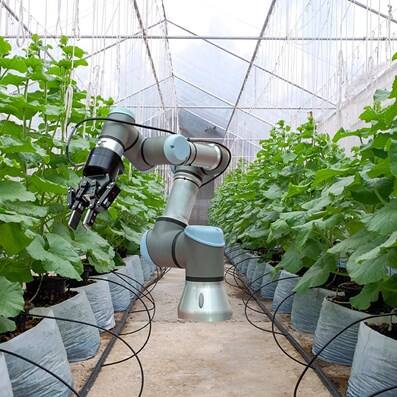 Food and agriculture