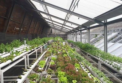 Food and agriculture, farming