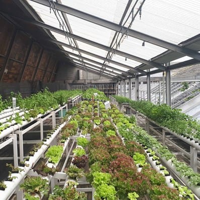 Food and agriculture, farming