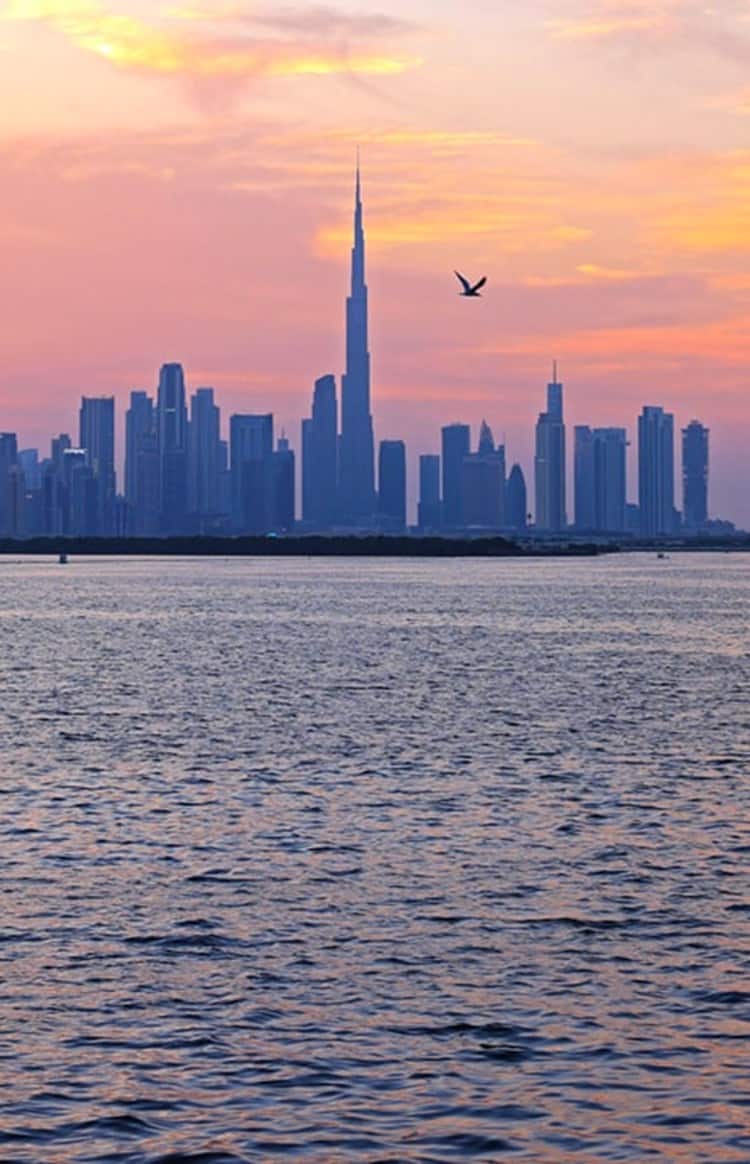 Dubai Skyline