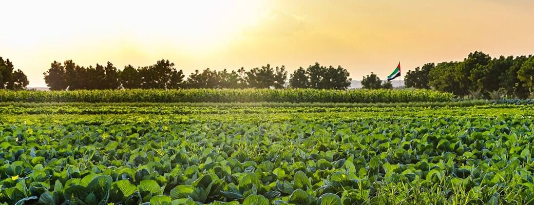 The best farms to visit